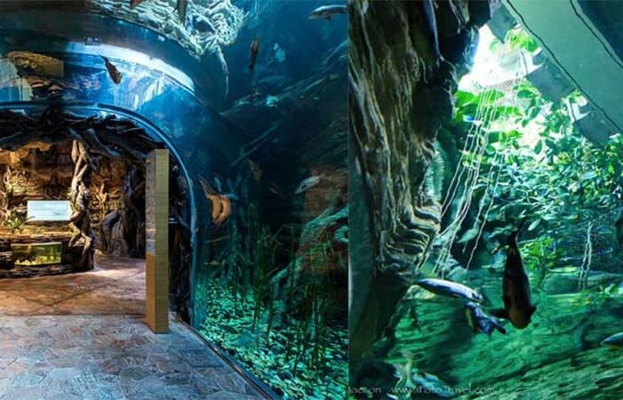 The Green Planet Dubai
