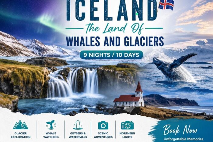 Discover Iceland – The Land of Whales & Glaciers!
